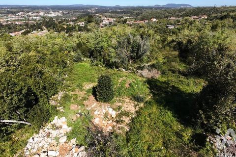 Helårsgrund i Pombal, Leiria, Pombal - € 31.300 | Ref: 777394 - foto 8
