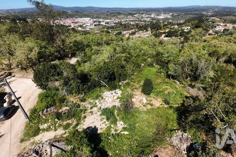 Helårsgrund i Pombal, Leiria, Pombal - € 31.300 | Ref: 777394 - foto 13