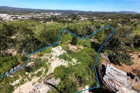 Helårsgrund i Pombal, Leiria, Pombal - € 31.300 | Ref: 777394 - foto 16