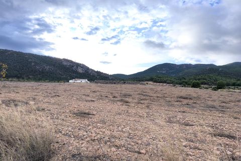 Landejendom i Yecla, Murcia, Yecla - € 2.400.000 | Ref: 70085 - foto 1