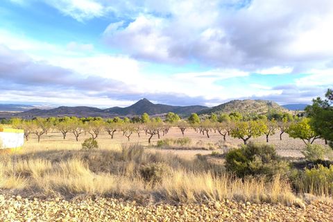 Landejendom i Yecla, Murcia, Yecla - € 2.400.000 | Ref: 70085 - foto 7