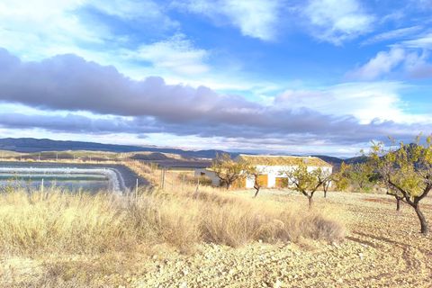 Landejendom i Yecla, Murcia, Yecla - € 2.400.000 | Ref: 70085 - foto 9