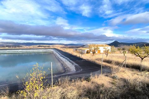 Landejendom i Yecla, Murcia, Yecla - € 2.400.000 | Ref: 70085 - foto 11