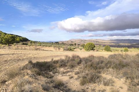 Landejendom i Yecla, Murcia, Yecla - € 2.400.000 | Ref: 70085 - foto 12