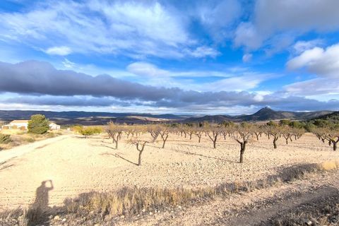 Landejendom i Yecla, Murcia, Yecla - € 2.400.000 | Ref: 70085 - foto 13