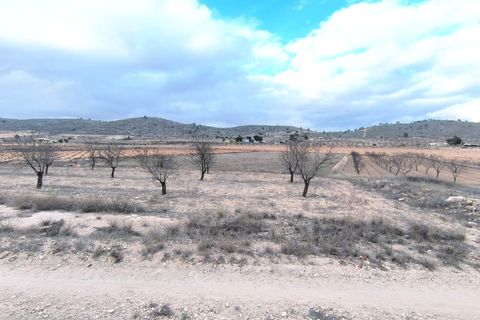 Terra a La Solana, Alicante, La Solana - € 25.900 | Ref: 70094 - foto 2