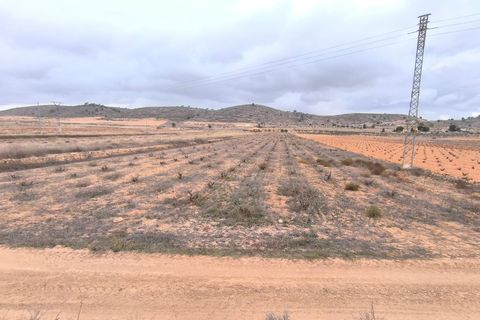 Terra a La Solana, Alicante, La Solana - € 34.900 | Ref: 70090 - foto 2