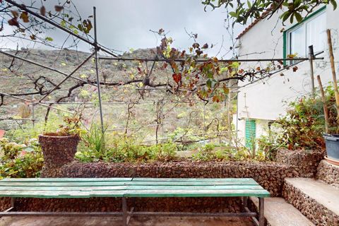 Landejendom i Santa Brigida, Gran Canaria, Santa Brigida - € 190.500 | Ref: 12081-JMZ/2912 - foto 22