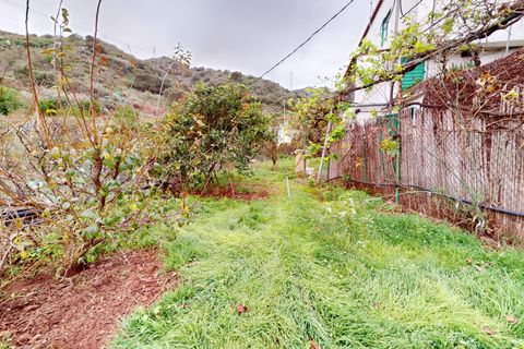 Landejendom i Santa Brigida, Gran Canaria, Santa Brigida - € 190.500 | Ref: 12081-JMZ/2912 - foto 28