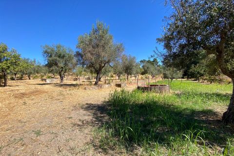 Landejendom i Fundao, Castelo Branco, Fundao - € 17.500 | Ref: 255250153 - foto 2