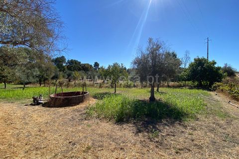 Landejendom i Fundao, Castelo Branco, Fundao - € 17.500 | Ref: 255250153 - foto 1