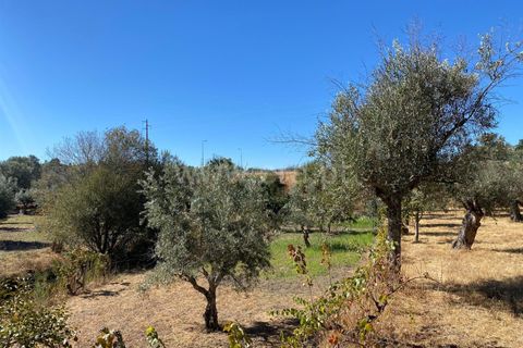 Landejendom i Fundao, Castelo Branco, Fundao - € 17.500 | Ref: 255250153 - foto 3