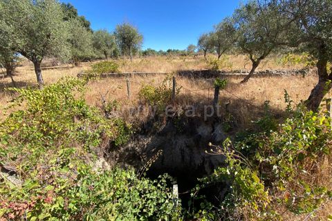 Landejendom i Fundao, Castelo Branco, Fundao - € 17.500 | Ref: 255250153 - foto 4