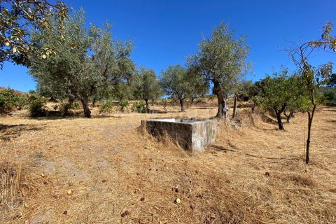 Landejendom i Fundao, Castelo Branco, Fundao - € 17.500 | Ref: 255250153 - foto 5