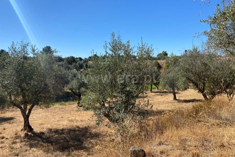 Landejendom i Fundao, Castelo Branco, Fundao - € 17.500 | Ref: 255250153 - foto 7
