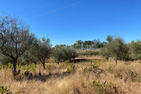 Landejendom i Fundao, Castelo Branco, Fundao - € 17.500 | Ref: 255250153 - foto 9