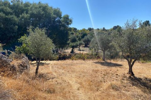 Landejendom i Fundao, Castelo Branco, Fundao - € 17.500 | Ref: 255250153 - foto 10