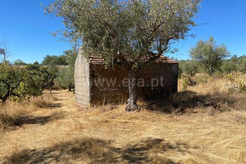 Landejendom i Fundao, Castelo Branco, Fundao - € 17.500 | Ref: 255250153 - foto 11