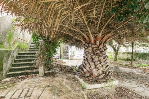 Villa i Sintra, Lisbon, Sintra - € 600.000 | Ref: C0362-00871 - foto 4
