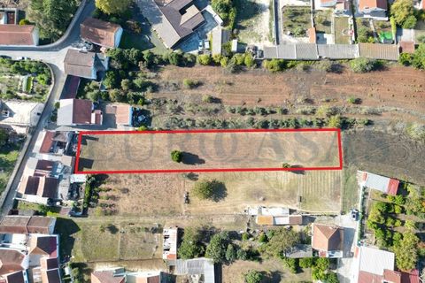 Helårsgrund i Alenquer, Lisbon, Alenquer - € 46.000 | Ref: 149/25 - foto 3