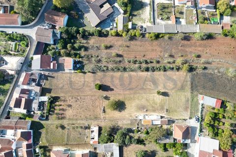 Helårsgrund i Alenquer, Lisbon, Alenquer - € 46.000 | Ref: 149/25 - foto 5