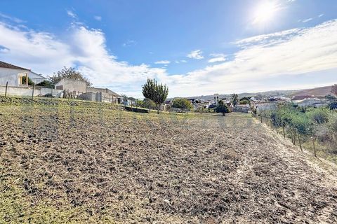 Helårsgrund i Alenquer, Lisbon, Alenquer - € 46.000 | Ref: 149/25 - foto 12