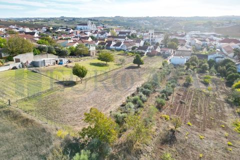 Helårsgrund i Alenquer, Lisbon, Alenquer - € 46.000 | Ref: 149/25 - foto 13