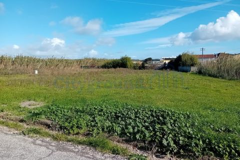 Helårsgrund i Torres Vedras, Lisbon, Torres Vedras - € 165.000 | Ref: 6101 - foto 4