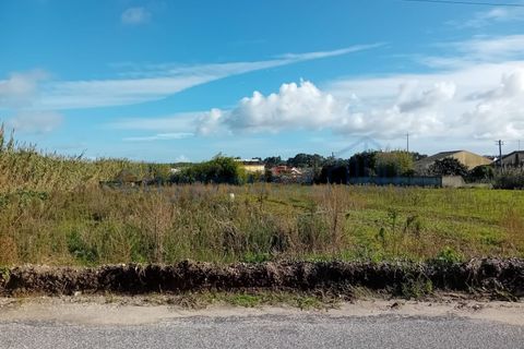Helårsgrund i Torres Vedras, Lisbon, Torres Vedras - € 165.000 | Ref: 6101 - foto 5