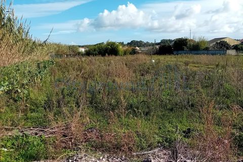 Helårsgrund i Torres Vedras, Lisbon, Torres Vedras - € 165.000 | Ref: 6101 - foto 9
