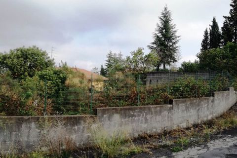 Grond in Mascalucia, Catania, Mascalucia - € 30.000 | Ref: 4999 - foto 2