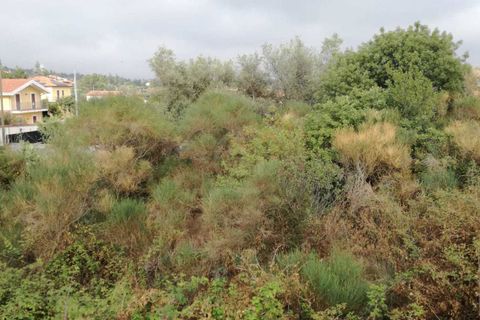 Grond in Mascalucia, Catania, Mascalucia - € 30.000 | Ref: 4999 - foto 4