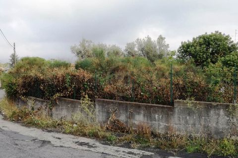 Grond in Mascalucia, Catania, Mascalucia - € 30.000 | Ref: 4999 - foto 5