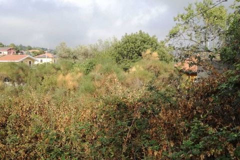 Grond in Mascalucia, Catania, Mascalucia - € 30.000 | Ref: 4999 - foto 6