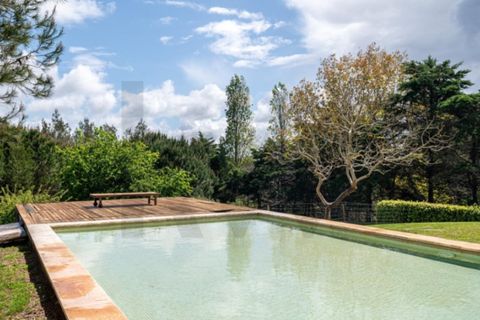 Villa i Sintra, Lisbon, Sintra - € 3.350.000 | Ref: KWPT-024704 - foto 41