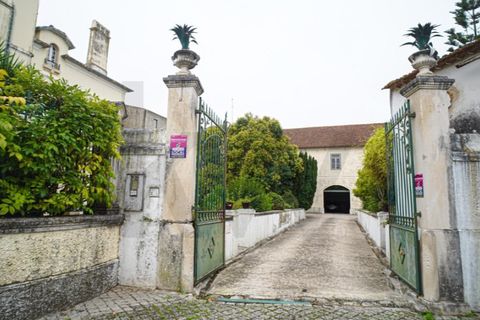 Villa a Alcanena, Santarem, Alcanena - € 1.000.000 | Ref: KWPT-025564 - foto 6