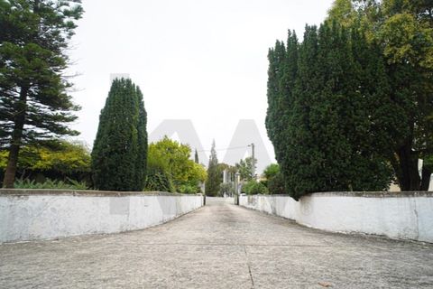 Villa a Alcanena, Santarem, Alcanena - € 1.000.000 | Ref: KWPT-025564 - foto 8