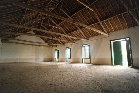 Villa a Alcanena, Santarem, Alcanena - € 1.000.000 | Ref: KWPT-025564 - foto 17