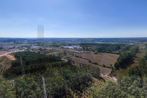Helårsgrund i Anadia, Aveiro, Anadia - € 64.342 | Ref: KWPT-023461 - foto 3