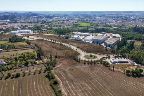 Helårsgrund i Anadia, Aveiro, Anadia - € 64.342 | Ref: KWPT-023461 - foto 8