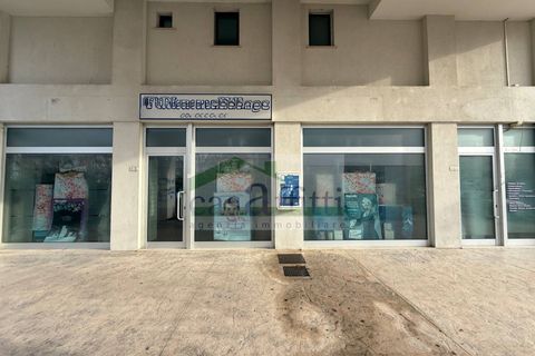 Erhvervsejendom i Chieti, Chieti, Chieti - € 78.000 | Ref: Via Papa Giovanni Paolo II paraf. - foto 23