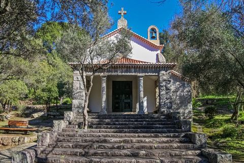 Villa i Monchique, Faro, Monchique - € 1.250.000 | Ref: NU_5896 - foto 13