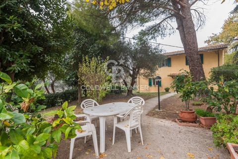 Villa a Pesaro, Pesaro and Urbino, Pesaro - € 495.000 | Ref: CBI099-1008-520761 - foto 30