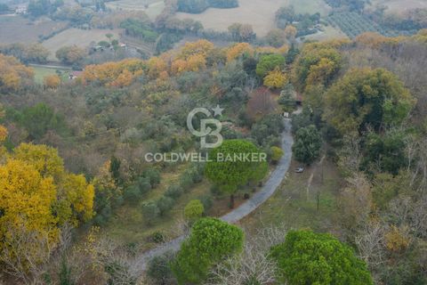 Villa a Pesaro, Pesaro and Urbino, Pesaro - € 495.000 | Ref: CBI099-1008-520761 - foto 43