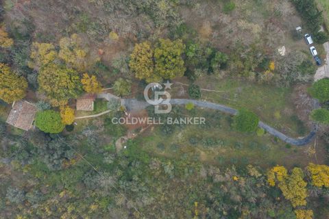 Villa a Pesaro, Pesaro and Urbino, Pesaro - € 495.000 | Ref: CBI099-1008-520761 - foto 44