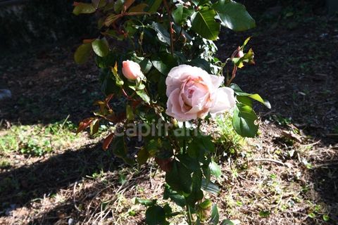 Villa a Lormes, Nievre, Lormes - € 45.000 | Ref: 340938156401 - foto 6