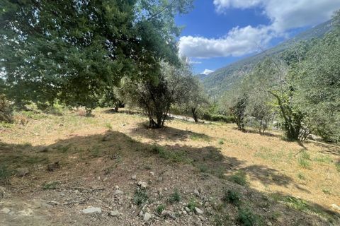 Terra a Coaraze, Alpes-Maritimes, Coaraze - € 159.000 | Ref: 85461384 - foto 2