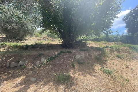 Terra a Coaraze, Alpes-Maritimes, Coaraze - € 159.000 | Ref: 85461384 - foto 3