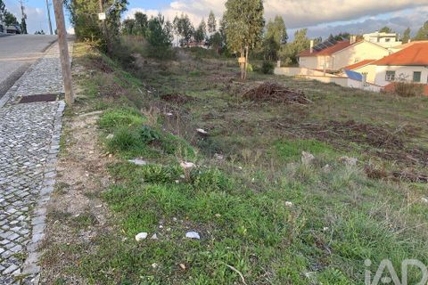 Terra a Ansiao, Leiria, Ansiao - € 38.300 | Ref: 771043 - foto 5
