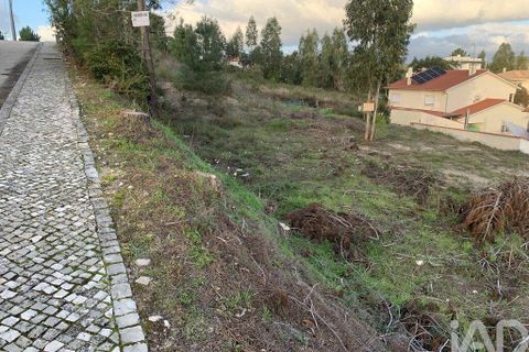 Terra a Ansiao, Leiria, Ansiao - € 38.300 | Ref: 771043 - foto 10